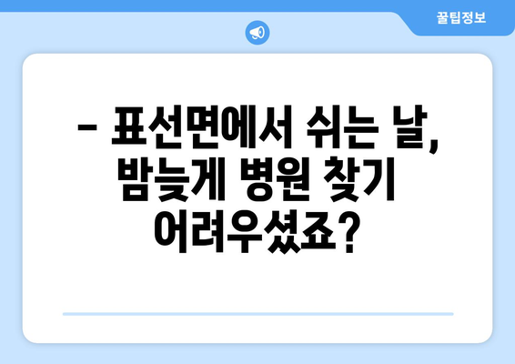 제주도 서귀포시 표선면 일요일 휴일 공휴일 야간 진료병원 리스트