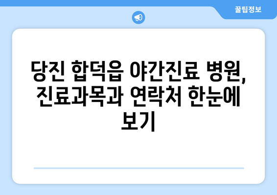 충청남도 당진시 합덕읍 일요일 휴일 공휴일 야간 진료병원 리스트