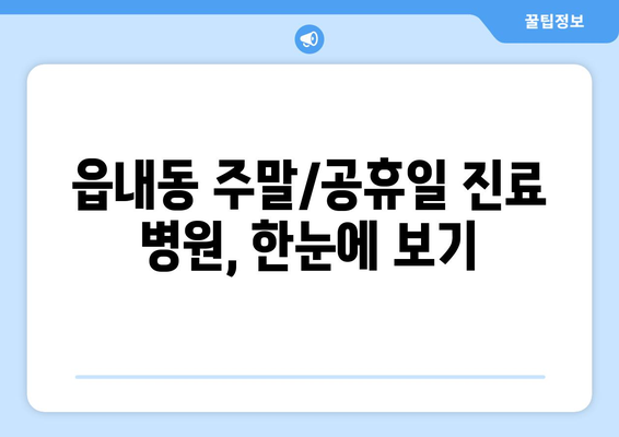 대구시 북구 읍내동 일요일 휴일 공휴일 야간 진료병원 리스트