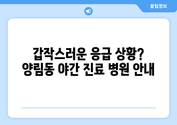 광주시 남구 양림동 일요일 휴일 공휴일 야간 진료병원 리스트