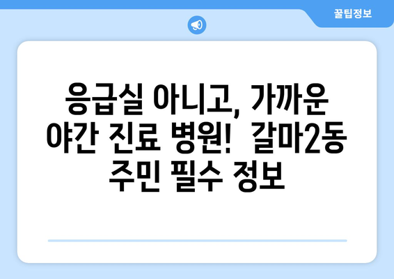 대전시 서구 갈마2동 일요일 휴일 공휴일 야간 진료병원 리스트