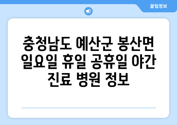 충청남도 예산군 봉산면 일요일 휴일 공휴일 야간 진료병원 리스트