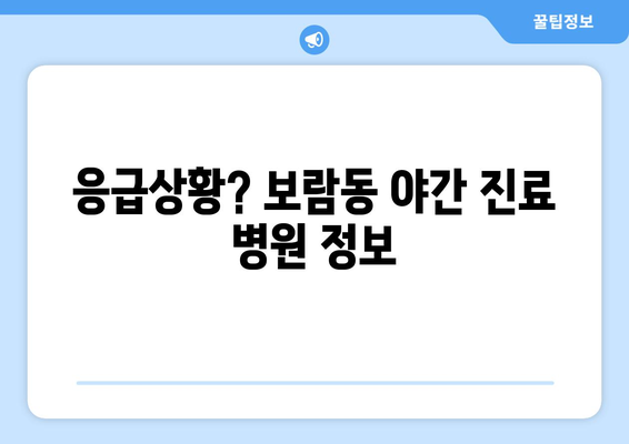 세종시 세종특별자치시 보람동 일요일 휴일 공휴일 야간 진료병원 리스트