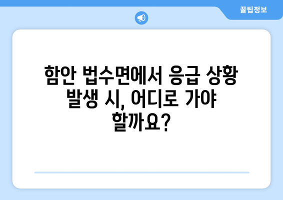 경상남도 함안군 법수면 일요일 휴일 공휴일 야간 진료병원 리스트