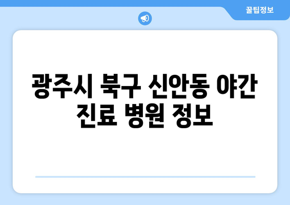 광주시 북구 신안동 일요일 휴일 공휴일 야간 진료병원 리스트