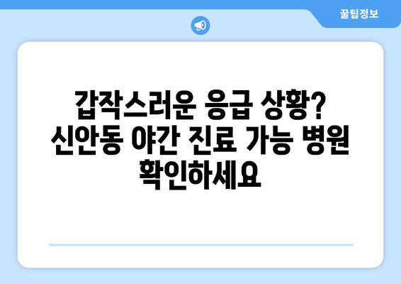 광주시 북구 신안동 일요일 휴일 공휴일 야간 진료병원 리스트