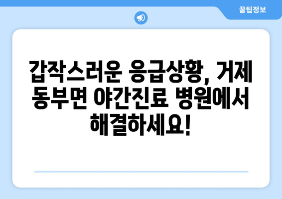 경상남도 거제시 동부면 일요일 휴일 공휴일 야간 진료병원 리스트