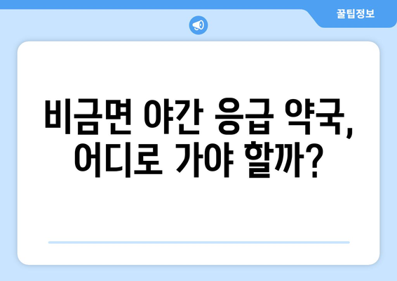 전라남도 신안군 비금면 24시간 토요일 일요일 휴일 공휴일 야간 약국