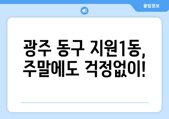 광주시 동구 지원1동 일요일 휴일 공휴일 야간 진료병원 리스트