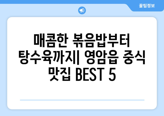 전라남도 영암군 영암읍 점심 맛집 추천 한식 중식 양식 일식 TOP5