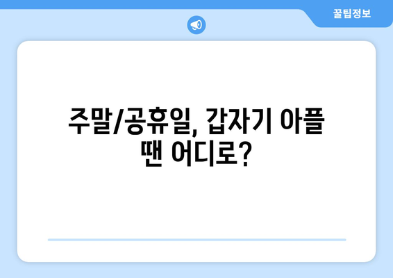 서울시 광진구 구의제3동 일요일 휴일 공휴일 야간 진료병원 리스트