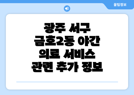 광주 서구 금호2동 야간 의료 서비스 관련 추가 정보