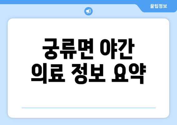 궁류면 야간 의료 정보 요약